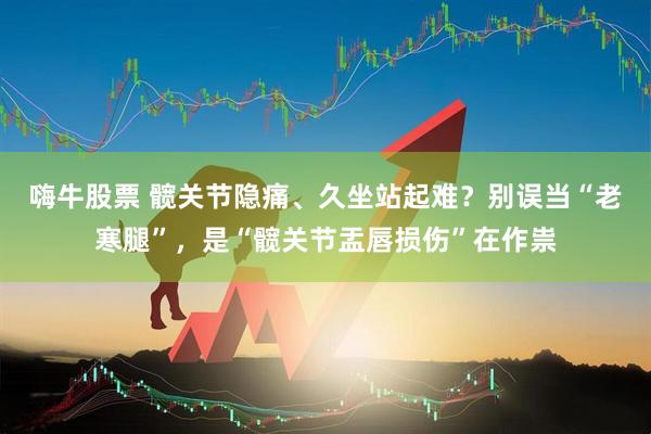 嗨牛股票 髋关节隐痛、久坐站起难？别误当“老寒腿”，是“髋关节盂唇损伤”在作祟