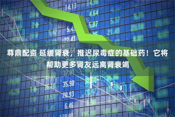 尊鼎配资 延缓肾衰，推迟尿毒症的基础药！它将帮助更多肾友远离肾衰竭